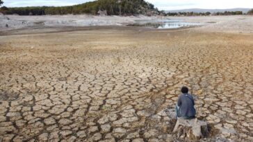 2025 : le deuxième année la plus chaude jamais enregistrée et les implications des données sur les températures mondiales 23 Image