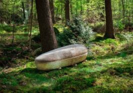 Ce cercueil en champignons est biodégradable et ne pèse que 30 kg