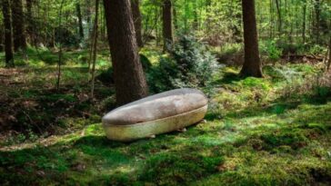 Ce cercueil en champignons est biodégradable et ne pèse que 30 kg