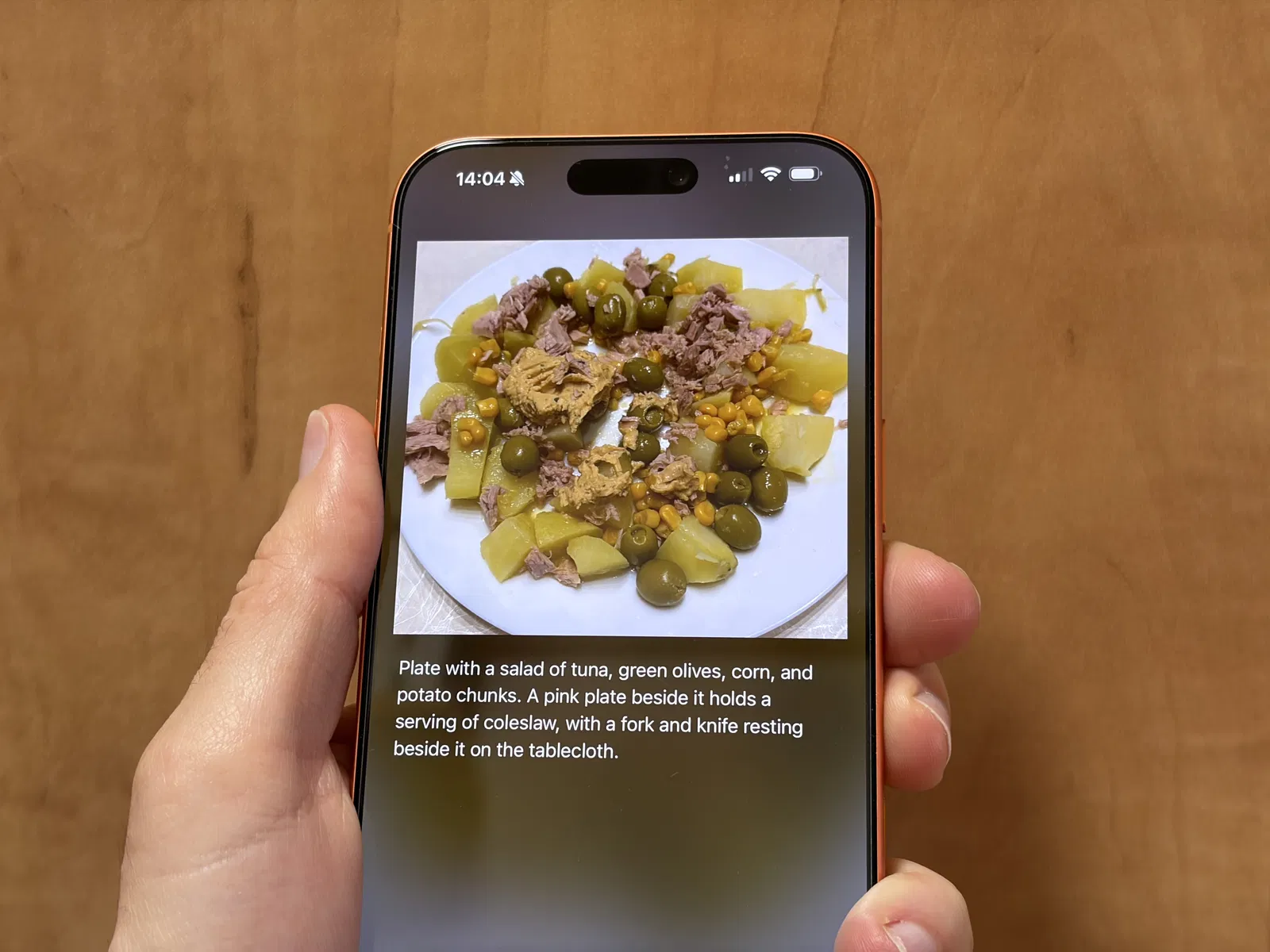Cette application utilise l'IA pour partager facilement des photos avec texte alterné sur les réseaux sociaux 3 Shiuli