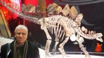 Comment un médecin à la retraite a transformé l’étude des dinosaures : l’histoire du docteur Lockwood 6 Le docteur Jeremy Lockwood avec un squelette de stégosaure. Crédit : Facebook
