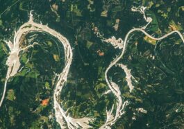 Un rare effet 'sunglint' a transformé un segment du fleuve Alabama en un dragon doré / Crédit : NASA/Woody Hoburg