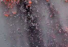 Éruption du Kilauea : le moment précis où la lave engloutit la caméra de l’USGS 21 Le moment où la lave du volcan Kilauea à Hawaï engloutit la caméra de l’USGS / Crédit : USGS