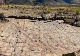 La côte des dinosaures avec plus de 16 000 empreintes découvertes en Bolivie : “C'est incroyable, elles sont partout” 1 Les empreintes de dinosaures en Bolivie. Crédit : Esperante et al., 2025, PLOS One