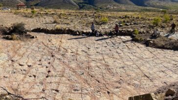 La côte des dinosaures avec plus de 16 000 empreintes découvertes en Bolivie : “C'est incroyable, elles sont partout” 9 Les empreintes de dinosaures en Bolivie. Crédit : Esperante et al., 2025, PLOS One