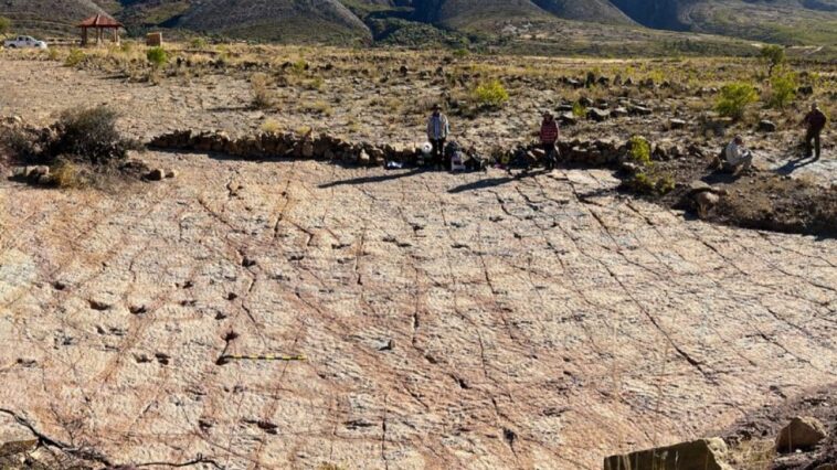 La côte des dinosaures avec plus de 16 000 empreintes découvertes en Bolivie : “C'est incroyable, elles sont partout” 1 Les empreintes de dinosaures en Bolivie. Crédit : Esperante et al., 2025, PLOS One