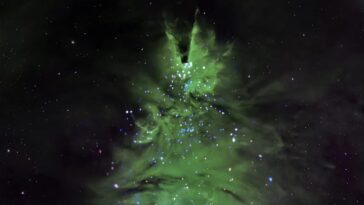 L'arbre de Noël le plus éloigné que tu découvriras aujourd'hui : les images du Cosmic Tree 13 Image