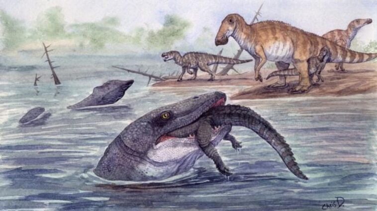 Le mosasaure de Jurassic World chassait aussi dans les eaux douces : il tendait des embuscades aux dinosaures imprudents 1 Illustration d'un mosasaure dévorant un crocodile. Crédit : Christopher DiPiazza