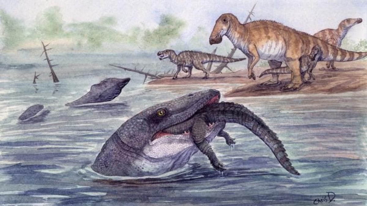 Le mosasaure de Jurassic World chassait aussi dans les eaux douces : il tendait des embuscades aux dinosaures imprudents 2 Illustration d'un mosasaure dévorant un crocodile. Crédit : Christopher DiPiazza