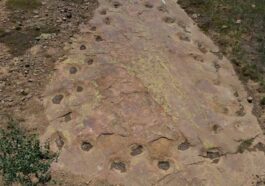 Les empreintes laissées par un dinosaure sauropode forment un cercle sur le sol. Crédits : Dott. Paul Murphey