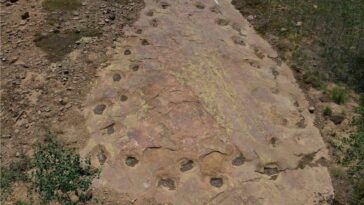 Le mystère des empreintes de dinosaures : une découverte fascinante grâce aux drones 24 Les empreintes laissées par un dinosaure sauropode forment un cercle sur le sol. Crédits : Dott. Paul Murphey