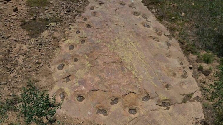 Le mystère des empreintes de dinosaures : une découverte fascinante grâce aux drones 1 Les empreintes laissées par un dinosaure sauropode forment un cercle sur le sol. Crédits : Dott. Paul Murphey