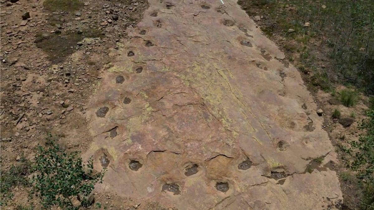 Le mystère des empreintes de dinosaures : une découverte fascinante grâce aux drones 2 Les empreintes laissées par un dinosaure sauropode forment un cercle sur le sol. Crédits : Dott. Paul Murphey