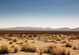 La Death Valley, en Californie, détient le record de la température de l'air la plus haute du monde, 56,7 °C, enregistrée le 10 juillet 1913. Une nouvelle étude montre que cette valeur pourrait être erronée / Photo : iStock