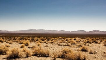 Le plus haut enregistrement de température au monde pourrait être erroné : une nouvelle étude remet en question les 56,7 °C 7 La Death Valley, en Californie, détient le record de la température de l'air la plus haute du monde, 56,7 °C, enregistrée le 10 juillet 1913. Une nouvelle étude montre que cette valeur pourrait être erronée / Photo : iStock