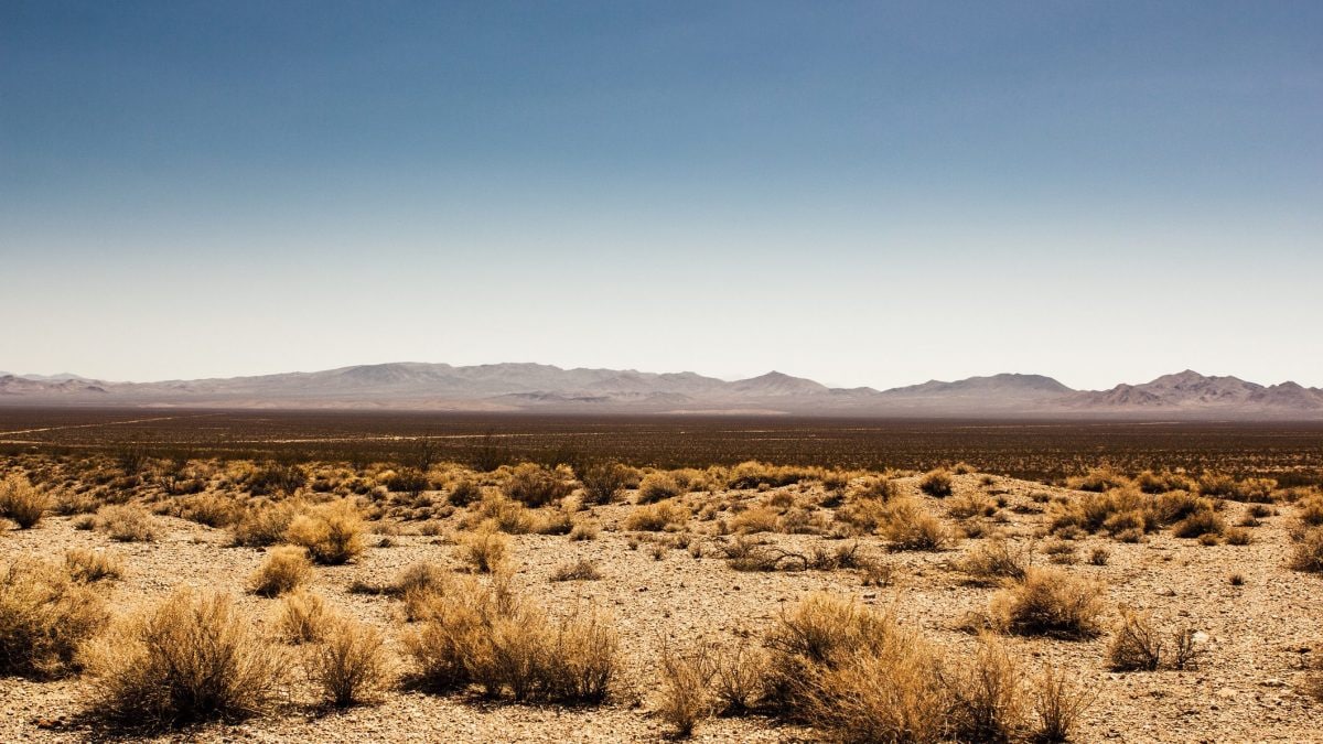 Le plus haut enregistrement de température au monde pourrait être erroné : une nouvelle étude remet en question les 56,7 °C 2 La Death Valley, en Californie, détient le record de la température de l'air la plus haute du monde, 56,7 °C, enregistrée le 10 juillet 1913. Une nouvelle étude montre que cette valeur pourrait être erronée / Photo : iStock