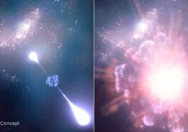 Illustration de la supernova alors qu'elle explosait et trois mois après, lorsque le télescope James Webb l'a observée : l'observatoire spatial a confirmé que l'événement astronomique remonte à lorsque l'univers avait seulement 730 millions d'années / Crédit : NASA Hustak