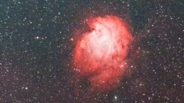 Nébuleuse Tête de Singe : notre aventure photographique de NGC 2174 dans la constellation d'Orion 1 La Nebulosa Testa di Scimmia fotografata nel cielo dei Castelli Romani.