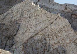Quels dinosaures arpentaient le site du Stelvio et pourquoi cet endroit est-il si crucial : l'éclairage d'un paléontologue 10 Un mur de la "vallée des dinosaures"