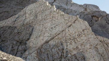 Quels dinosaures arpentaient le site du Stelvio et pourquoi cet endroit est-il si crucial : l'éclairage d'un paléontologue 19 Un mur de la "vallée des dinosaures"