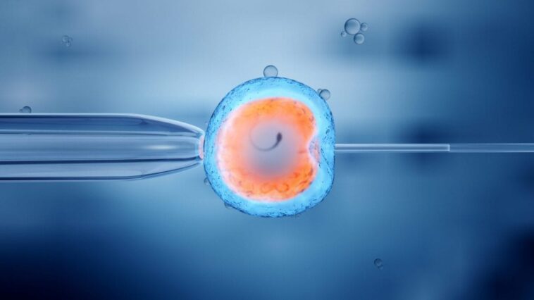 Un donneur de spermatozoïdes avec une mutation génétique rare : au moins 197 enfants en danger de cancer 1 Image