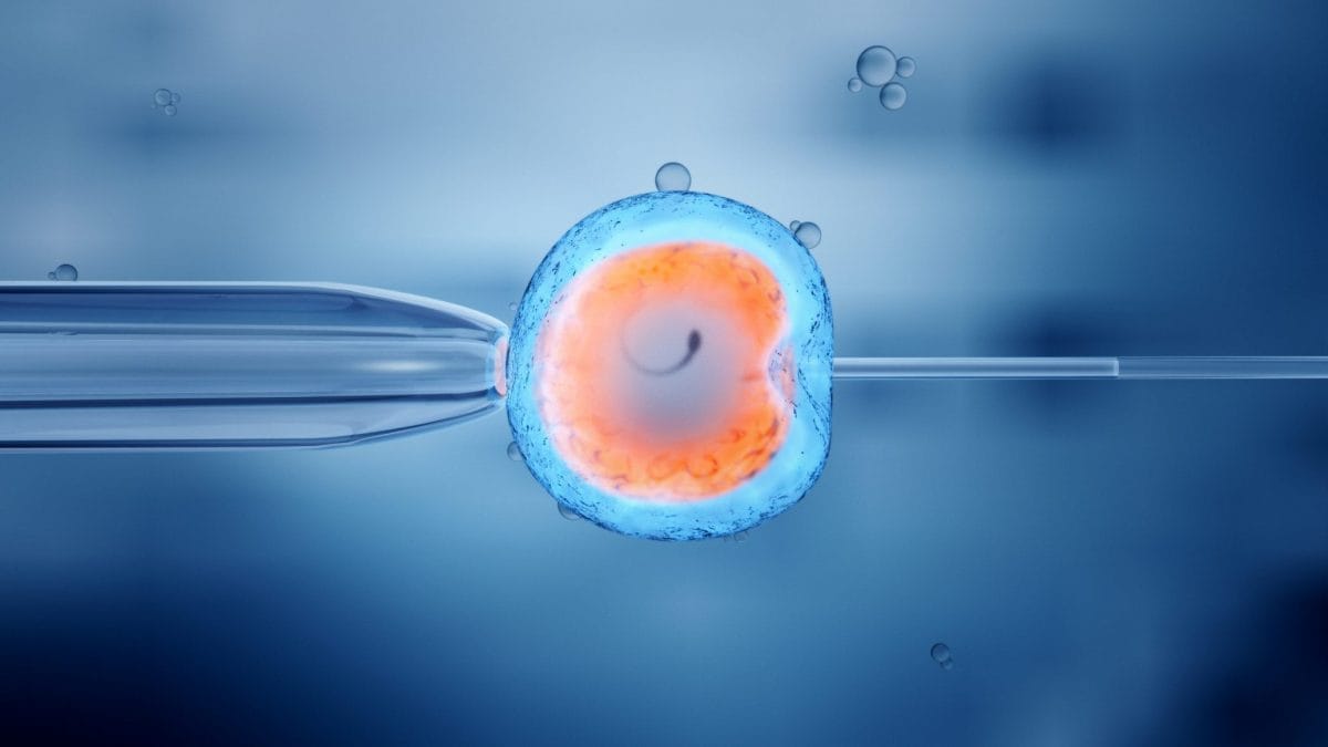 Un donneur de spermatozoïdes avec une mutation génétique rare : au moins 197 enfants en danger de cancer 2 Image