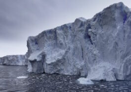 Un petit robot perdu sous la glace de l'Antarctique pendant des mois fait un retour incroyable avec des données précieuses