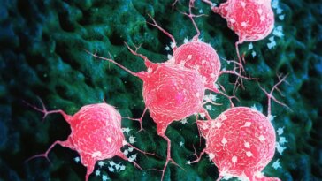 Un virus intestinal de grenouille a réussi à éradiquer le cancer en une seule fois : comment est-ce possible ? 16 Image