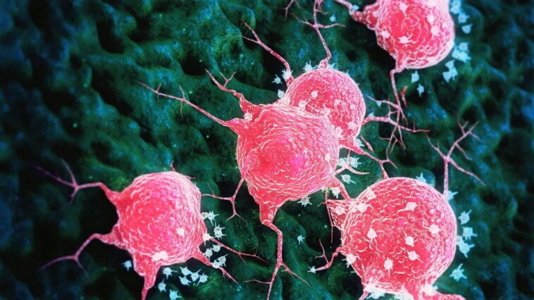 Un virus intestinal de grenouille a réussi à éradiquer le cancer en une seule fois : comment est-ce possible ? 1 Image
