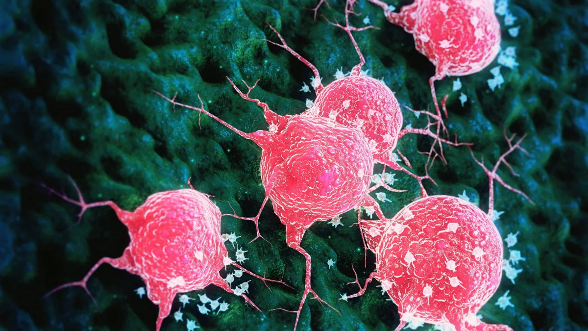 Un virus intestinal de grenouille a réussi à éradiquer le cancer en une seule fois : comment est-ce possible ? 2 Image