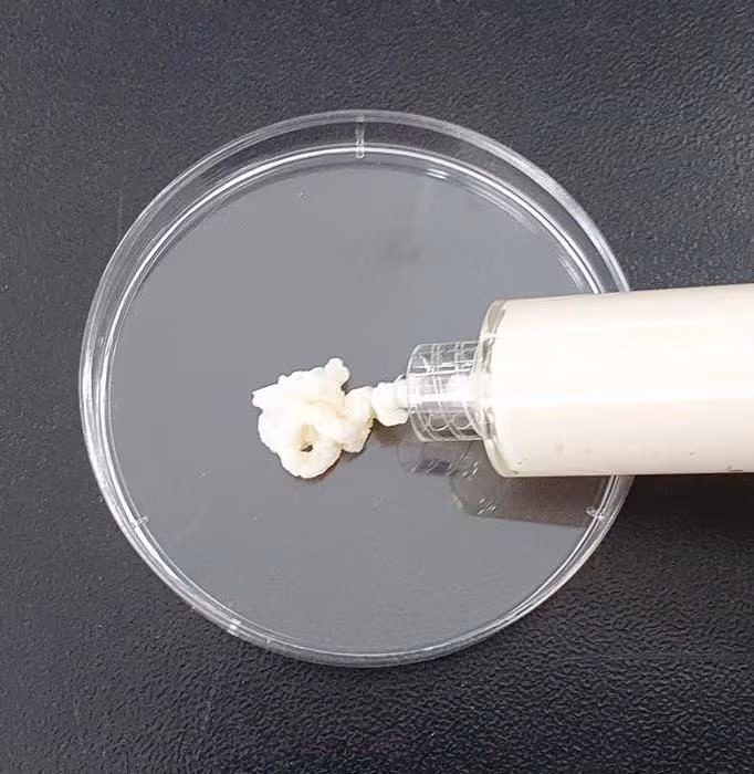 Cancer du sein : une nouvelle solution innovante pour la reconstruction mammaire après une mastectomie 3 La pâte créée par les scientifiques pour la reconstruction du sein. Crédit : ACS Applied Bio Materials 2025, DOI : 10.1021/acsabm.5c01538