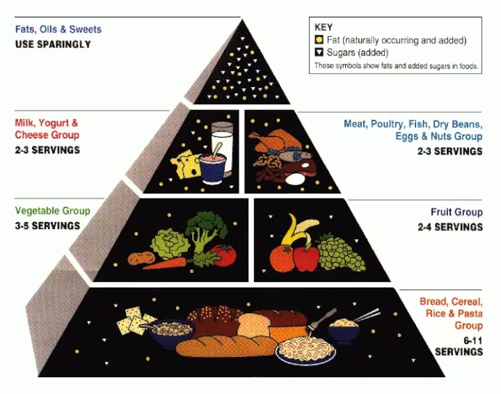 Les États-Unis ont renversé la pyramide alimentaire. Littéralement ! 4 1767954957 886 Les Etats Unis ont renverse la pyramide alimentaire Litteralement.webp