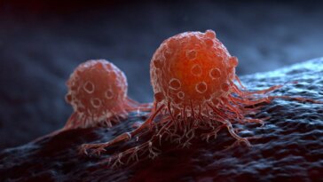 Cancer : des nanoparticules pour combattre les métastases et transformer la lutte contre les tumeurs 27 Image