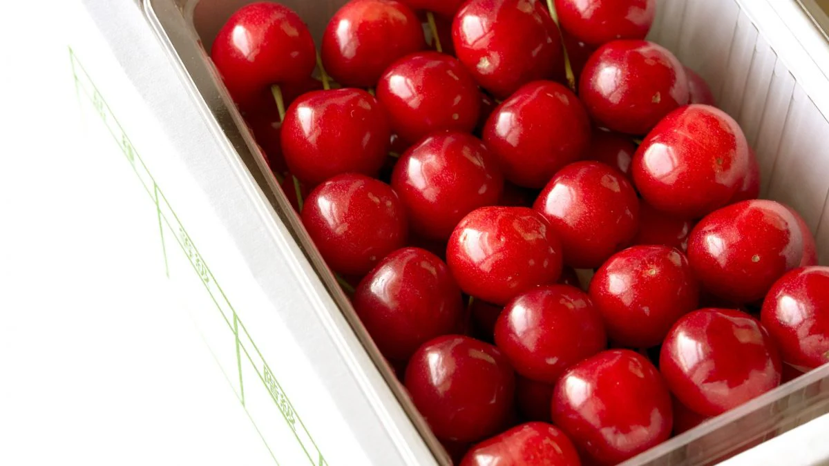 Comment se fait-il que les cerises atteignent des prix vertigineux de 140€ l'une ? Un nouveau sommet au Japon 2 Ciliegies Sato Nishiki, cultivées dans la préfecture de Yamagata, sélectionnées pour les enchères inaugurales au Japon / Photo: iStock