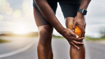 Découverte d'une méthode pour régénérer le cartilage et stopper l'arthrite 9 Image
