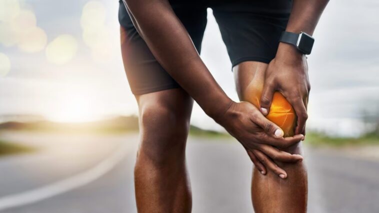 Découverte d'une méthode pour régénérer le cartilage et stopper l'arthrite 1 Image