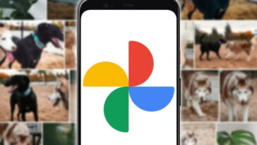 Google Photos serait sur le point de corriger l’un de ses problèmes les plus agaçants