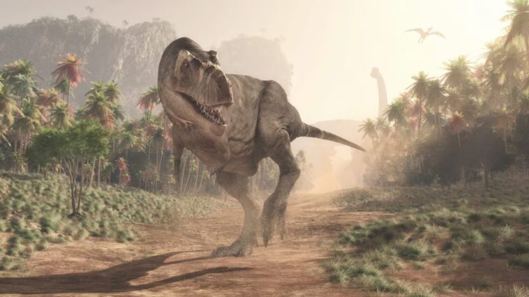 Jusqu'à quel âge le T. rex continuait-il à grandir : une étude bouleverse les estimations 1 Image
