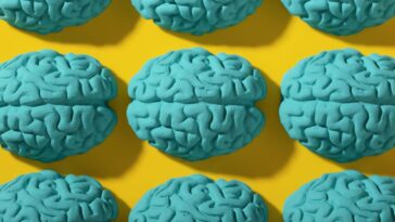 La méthode surprenante pour booster votre quotient intellectuel : créatine et puce pour devenir plus intelligent 20 La méthode surprenante pour booster votre quotient intellectuel : créatine et puce pour devenir plus intelligent