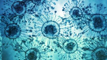 Le Bangladesh détecte un virus de chauve-souris transmis aux humains : 5 cas, symptômes grippaux et encéphalite 4 Illustration de particules virales : l'étude a détecté le Pteropine orthoreovirus (PRV) chez des cas humains au Bangladesh / Photo : iStock