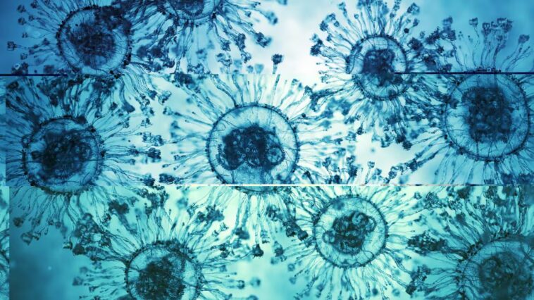 Le Bangladesh détecte un virus de chauve-souris transmis aux humains : 5 cas, symptômes grippaux et encéphalite 1 Illustration de particules virales : l'étude a détecté le Pteropine orthoreovirus (PRV) chez des cas humains au Bangladesh / Photo : iStock