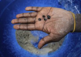 Le coltan, l'élément clé pour smartphones et missiles : le Venezuela en regorge et attire les convoitises des États-Unis 48 Image
