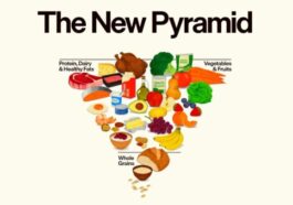 Les États-Unis ont renversé la pyramide alimentaire. Littéralement !