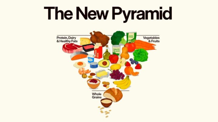 Les États-Unis ont renversé la pyramide alimentaire. Littéralement ! 2 Les Etats Unis ont renverse la pyramide alimentaire Litteralement