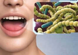 Les bactéries présentes dans la bouche sont au centre d'une étude qui analyse le lien entre le microbiome oral et l'obésité / iStock
