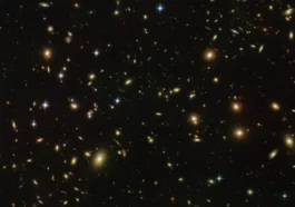 Les extraterrestres et les lucioles peuvent-ils communiquer de la même manière ? 11 Les extraterrestres et les lucioles peuvent-ils communiquer de la même manière ?