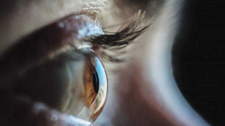 Pourquoi nos cinq sens ne suffisent pas à comprendre comment nous percevons le monde : combien en avons-nous vraiment 1 Image