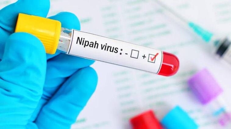 Pourquoi près de 100 personnes sont-elles en quarantaine en Inde : les clarifications de Rezza sur l’alerte concernant le virus Nipah 1 Image