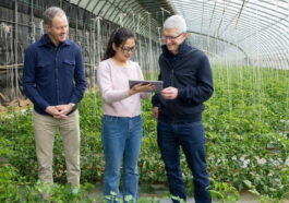 Quel est le prix des congés du PDG d'Apple ? Tim Cook renonce à ses vacances et empoche 57 000 $ 85 Combien valent les jours de congé du patron d'Apple ? Tim Cook a décidé de ne pas partir en vacances et a reçu un chèque supplémentaire de 57.000 dollars
