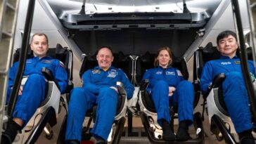 Santé précaire d'un astronaute sur la Station Spatiale Internationale : la NASA envisage un retour anticipé 1 Les astronautes de la Crew-11 actuellement à bord de la Station Spatiale Internationale. De gauche à droite : le cosmonaute de Roscosmos Oleg Platonov, les astronautes de la NASA Mike Fincke et Zena Cardman, et l'astronaute de la JAXA Kimiya Yui. Photo : SpaceX